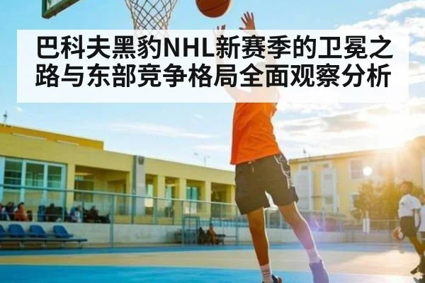 巴科夫黑豹NHL新赛季的卫冕之路与东部竞争格局全面观察分析